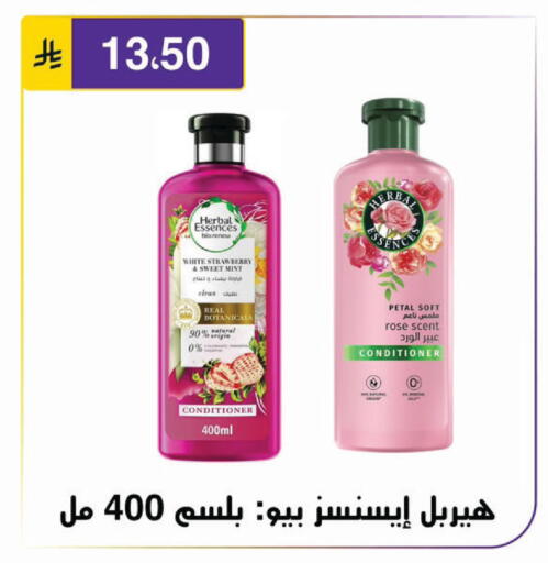 Strawberry available at الحسين توب أب in مملكة العربية السعودية, السعودية, سعودية - الرياض