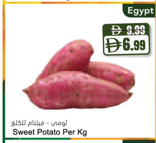Sweet Potato from Egypt available at Almaya Supermarkets in UAE - Abu Dhabi