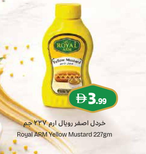 available at إسطنبول سوبرماركت in الإمارات العربية المتحدة , الامارات - أبو ظبي