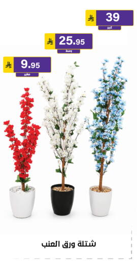 available at Al Hussain Top Up in KSA, Saudi Arabia, Saudi - Riyadh