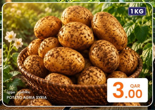 Potato from Syria available at البلدي اليوم in قطر - الخور