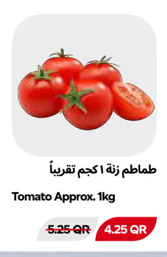 Tomato available at Snoomart in Qatar - Al Shamal