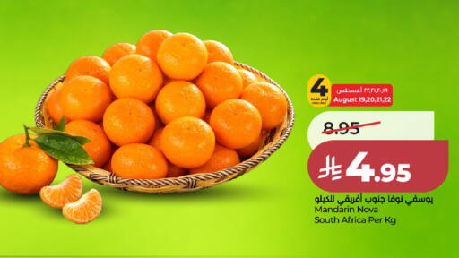 Mandarin from South Africa available at لولو هايبرماركت in مملكة العربية السعودية, السعودية, سعودية - الخرج