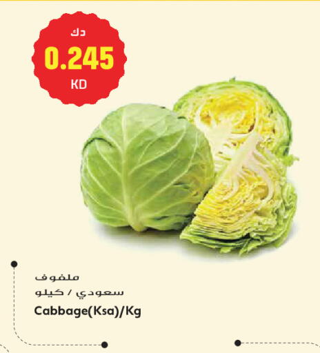 Cabbage available at جراند هايبر in الكويت - مدينة الكويت