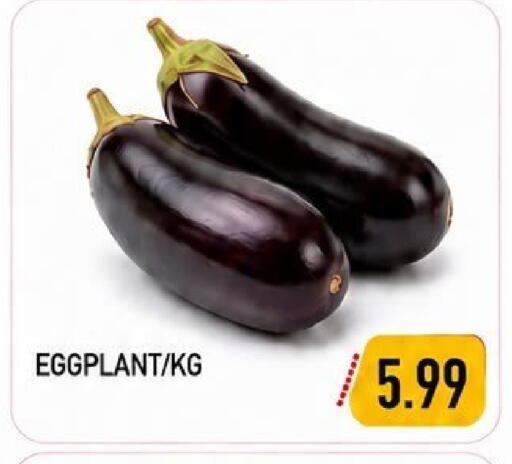 Eggplant available at  روابي ماركت عجمان in الإمارات العربية المتحدة , الامارات - الشارقة / عجمان
