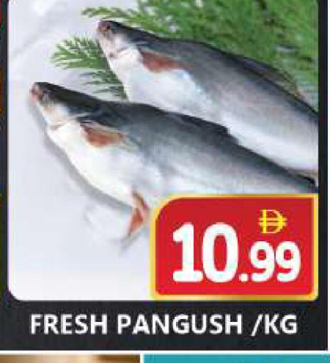 available at سوق المبارك هايبرماركت in الإمارات العربية المتحدة , الامارات - الشارقة / عجمان