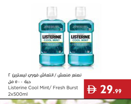 Mint available at Istanbul Supermarket in UAE - Dubai