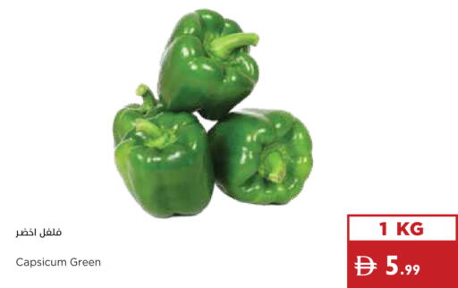 Capsicum available at Istanbul Supermarket in UAE - Dubai