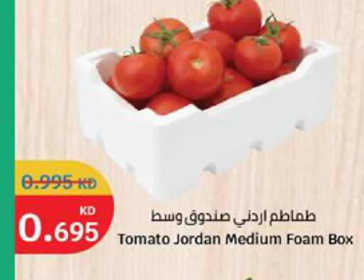 Tomato from Jordan available at City Hypermarket in Kuwait - Kuwait City