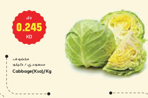 Cabbage available at Grand Costo in Kuwait - Kuwait City