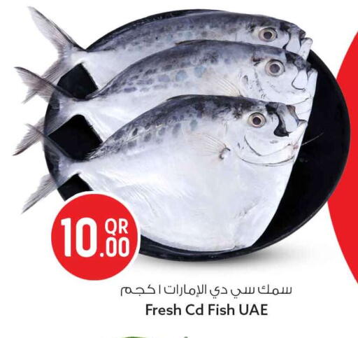 available at Safari Hypermarket in Qatar - Al Wakra