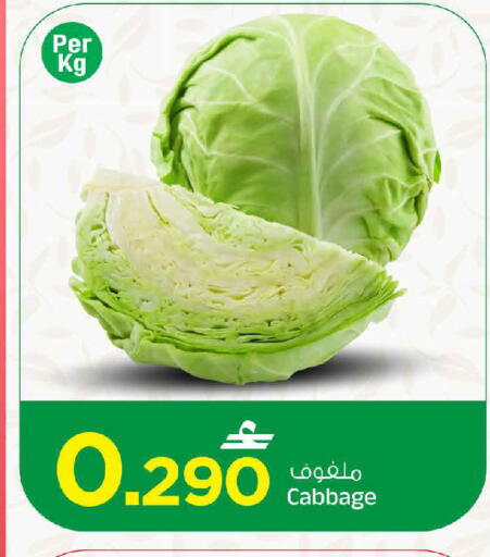 Cabbage available at MARK & SAVE in Oman - Sohar