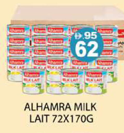 available at زين مارت سوبرماركت in الإمارات العربية المتحدة , الامارات - رَأْس ٱلْخَيْمَة