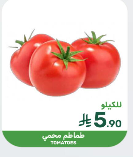 Tomato available at  مـزايــا in مملكة العربية السعودية, السعودية, سعودية - القطيف‎