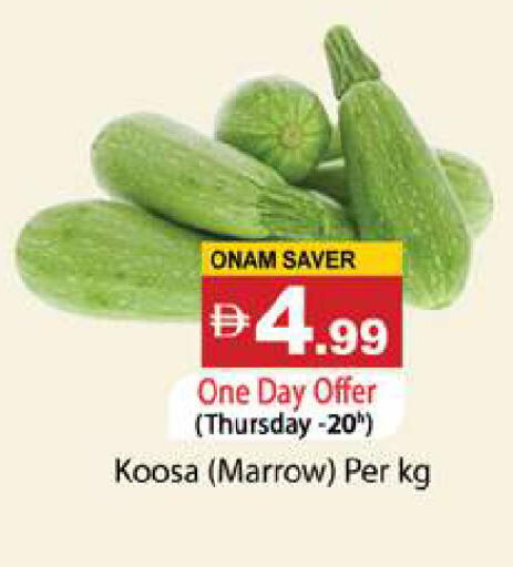 Marrow available at جلف هايبرماركت ذ.م.م in الإمارات العربية المتحدة , الامارات - رَأْس ٱلْخَيْمَة