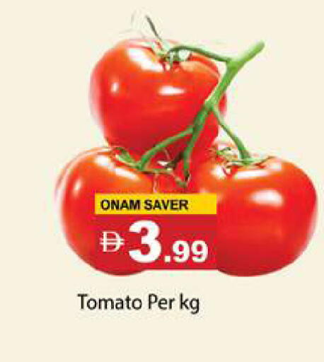 Tomato available at جلف هايبرماركت ذ.م.م in الإمارات العربية المتحدة , الامارات - رَأْس ٱلْخَيْمَة