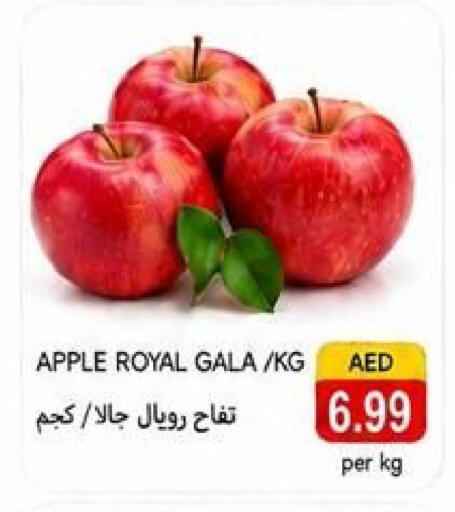Apple available at  روابي ماركت عجمان in الإمارات العربية المتحدة , الامارات - الشارقة / عجمان