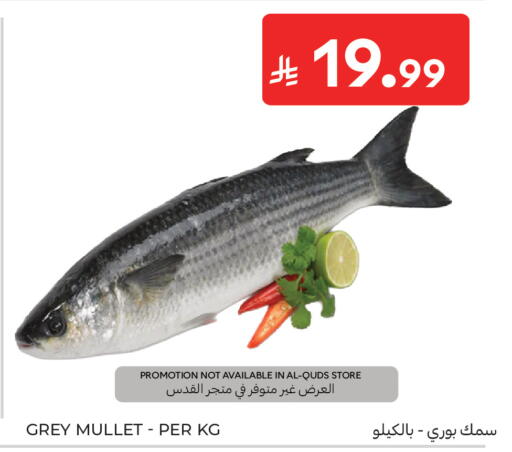 available at كارفور in مملكة العربية السعودية, السعودية, سعودية - جدة