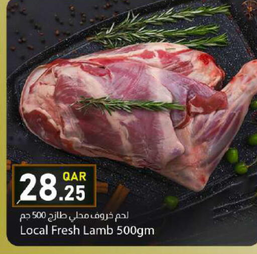 available at دانا ماركت in قطر - الوكرة