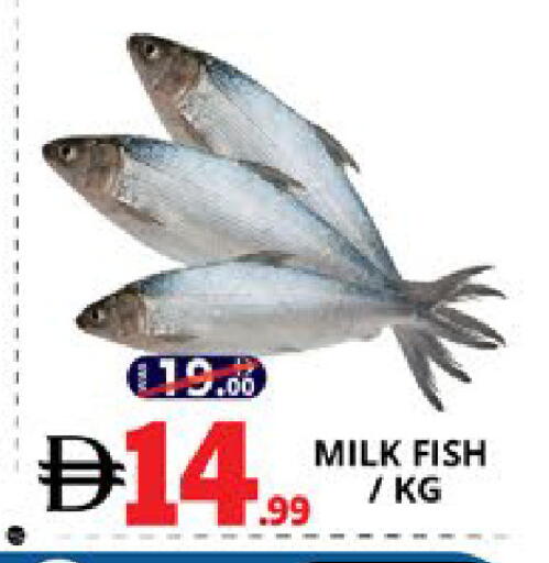 available at EXPRESS AL MADEENA HYPERMARKET LLC in UAE - Abu Dhabi