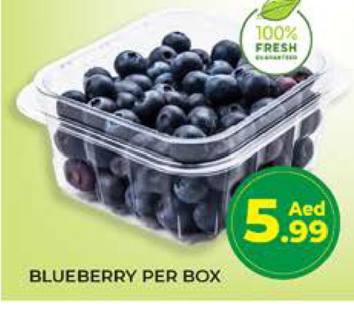 Blueberry BlueBerry available at Seven Emirates Supermarket in UAE - Abu Dhabi