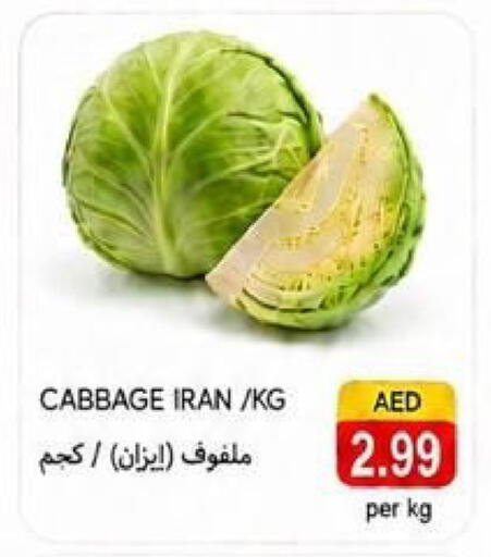 Cabbage from Iran available at  روابي ماركت عجمان in الإمارات العربية المتحدة , الامارات - الشارقة / عجمان