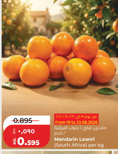 Mandarin from South Africa available at لولو هايبر ماركت in الكويت - مدينة الكويت