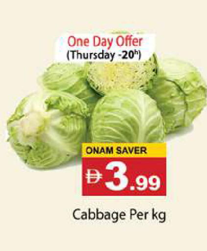 Cabbage available at جلف هايبرماركت ذ.م.م in الإمارات العربية المتحدة , الامارات - رَأْس ٱلْخَيْمَة