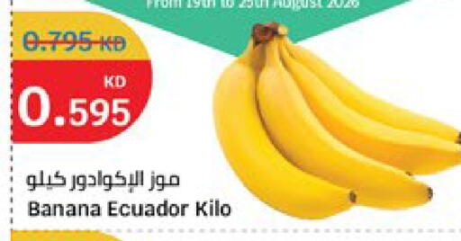 Banana from Ecuador available at سيتي هايبرماركت in الكويت - مدينة الكويت
