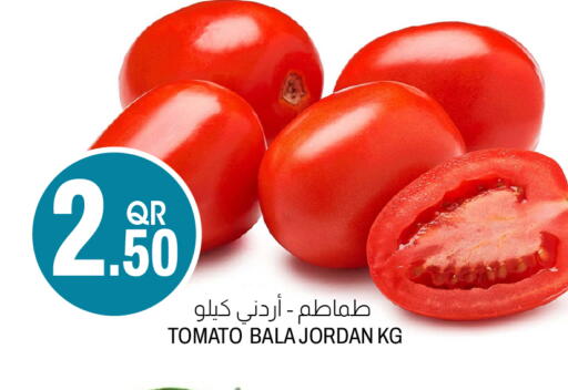 Tomato from Jordan available at أسواق الملكي فرش in قطر - الضعاين