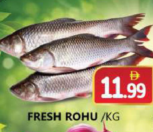 available at سوق المبارك هايبرماركت in الإمارات العربية المتحدة , الامارات - الشارقة / عجمان