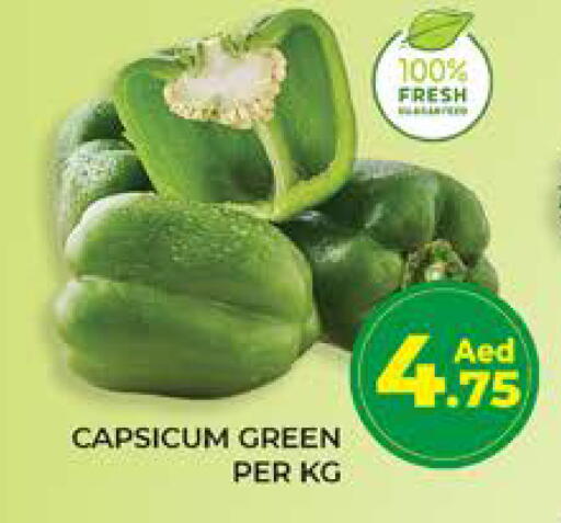 Capsicum available at Seven Emirates Supermarket in UAE - Abu Dhabi