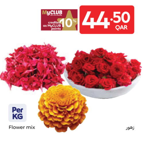 available at Carrefour in Qatar - Al Khor