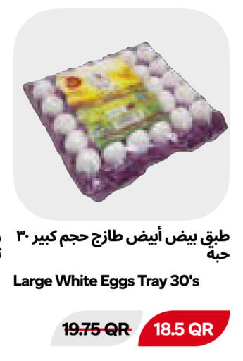 available at Snoomart in Qatar - Al Wakra