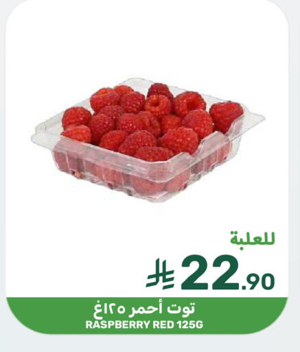Raspberry available at  مـزايــا in مملكة العربية السعودية, السعودية, سعودية - المنطقة الشرقية