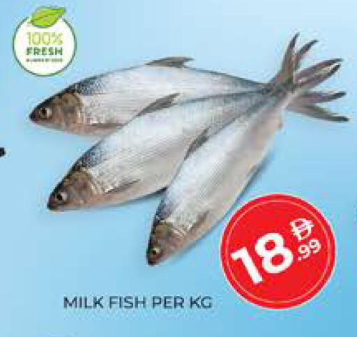 available at Seven Emirates Supermarket in UAE - Abu Dhabi