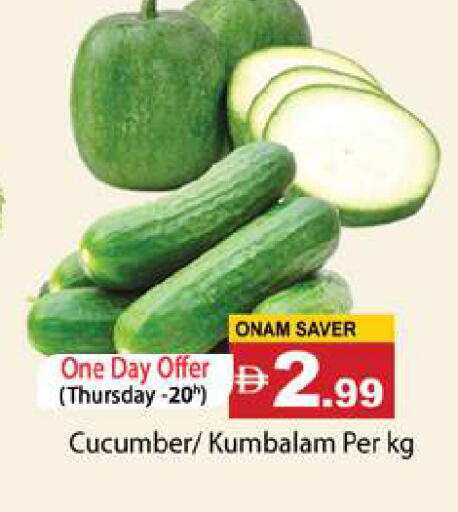 Cucumber available at جلف هايبرماركت ذ.م.م in الإمارات العربية المتحدة , الامارات - رَأْس ٱلْخَيْمَة