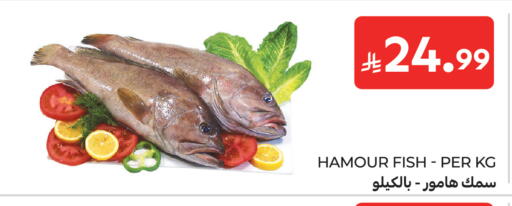 available at كارفور in مملكة العربية السعودية, السعودية, سعودية - الرياض