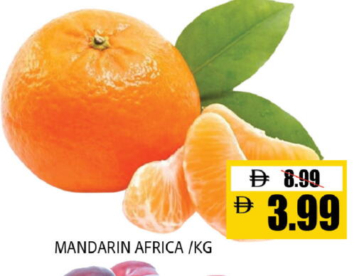 Mandarin available at ليبتس هايبرماركت in الإمارات العربية المتحدة , الامارات - ٱلْعَيْن‎