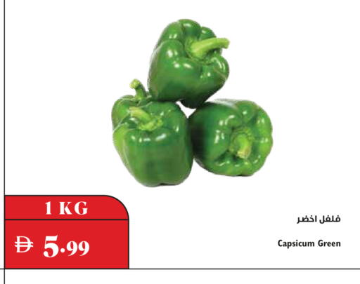 Capsicum available at Trolleys Supermarket in UAE - Dubai