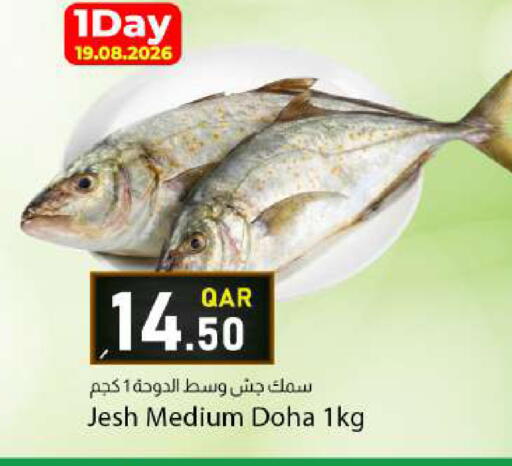 available at Dana Market in Qatar - Umm Salal