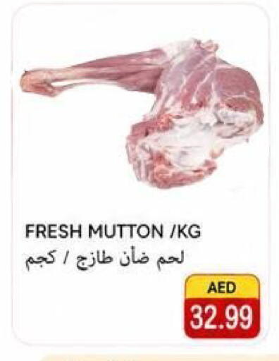 available at  روابي ماركت عجمان in الإمارات العربية المتحدة , الامارات - الشارقة / عجمان
