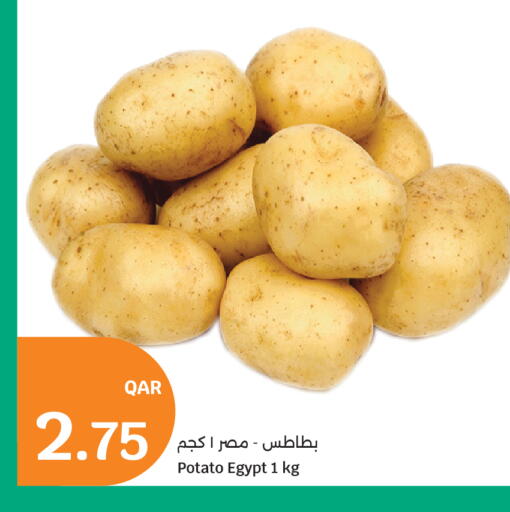 Potato from Egypt available at City Hypermarket in Qatar - Al-Shahaniya