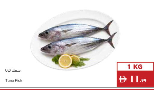 available at Istanbul Supermarket in UAE - Abu Dhabi