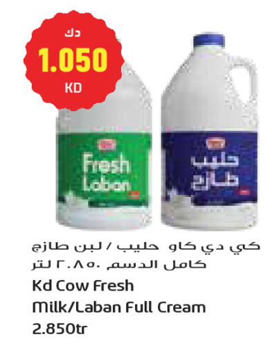 available at Grand Costo in Kuwait - Kuwait City