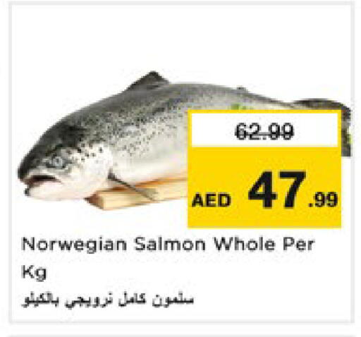 available at نستو هايبرماركت in الإمارات العربية المتحدة , الامارات - رَأْس ٱلْخَيْمَة