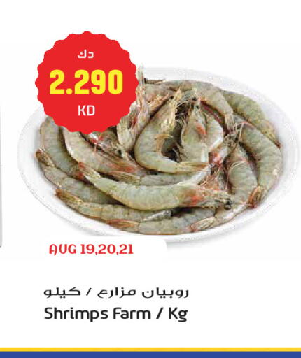 available at Grand Hyper in Kuwait - Kuwait City