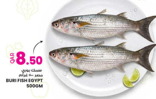 available at أنصار جاليري in قطر - الريان