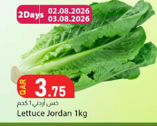 Lettuce from Jordan available at Dana Market in Qatar - Al Rayyan