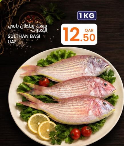 available at البلدي اليوم in قطر - الريان